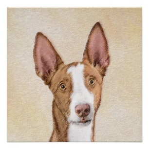 Ibizan Hound Malerei - Niedliche Original Hunde Ku Poster