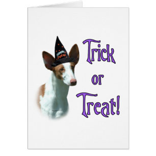 Ibizan Hound Trick