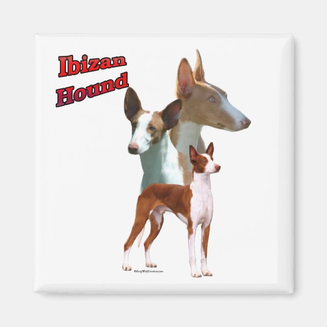Ibizan Hound Trio 2 - Magnet (Vorne)
