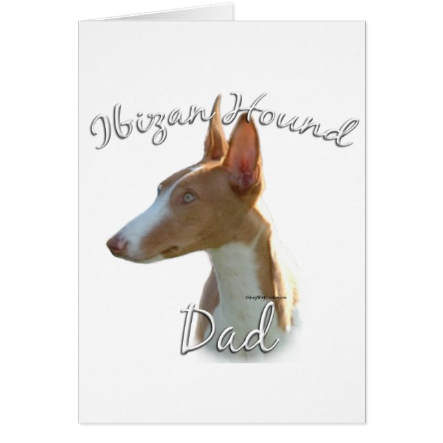 Ibizan Hound Vater 2 (Vorne)