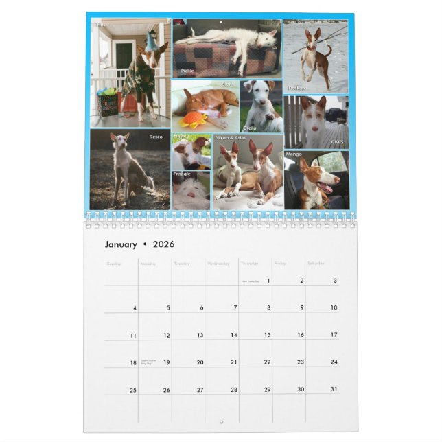 Ibizan Jagdhund-Zentralkalender 2015 Kalender (Jan 2026)