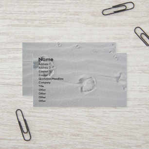 IBSP Cartes de visite des traces de mouettes