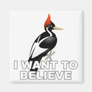 IBWO: Ich Wollte zu glauben Magnet