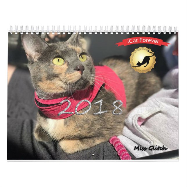 iCat Forever Contest Kalender (Titelbild)