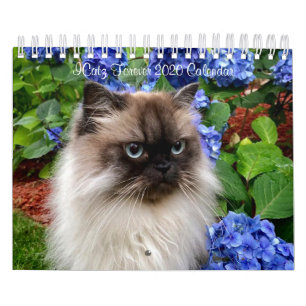 ICatz Forever 2020 Teamkalender Kalender