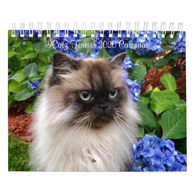 ICatz Forever 2020 Teamkalender Kalender (Titelbild)