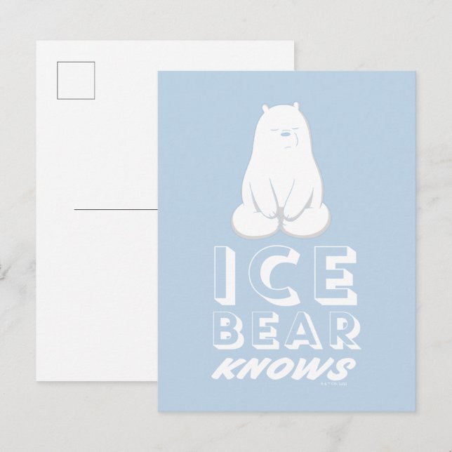 Ice Bear Knows Postkarte (Vorne/Hinten)