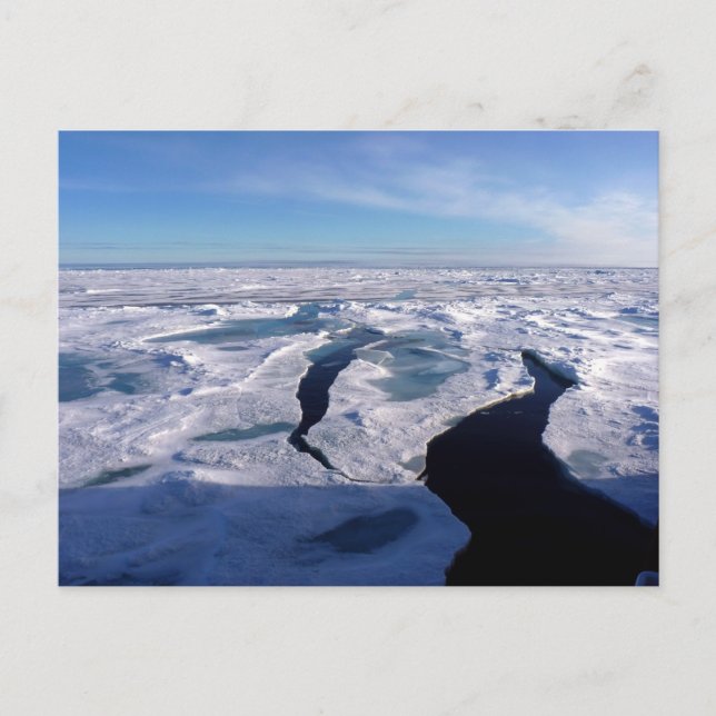 Ice fields in the Arctic Ocean Postkarte (Vorderseite)
