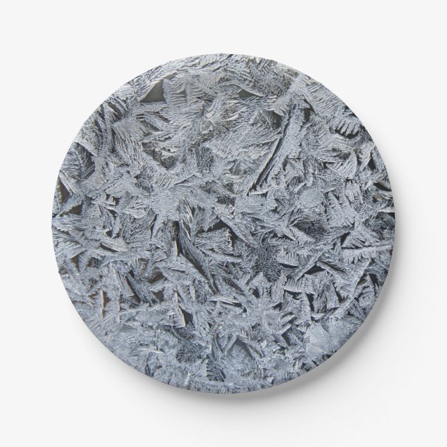 Ice Frost Kristalle Textur Bild Pappteller (Vorderseite)