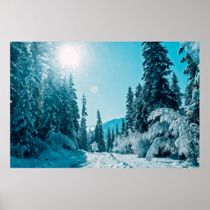 Ice & Snow   Altai Nature Reserve, Russia Poster