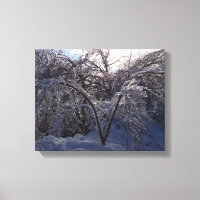 Ice Storm Foto Leinwand Lugano Gestern und Heute