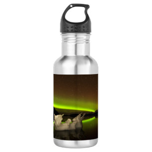 Iceberg Aurora Edelstahlflasche