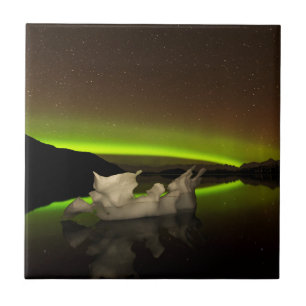 Iceberg Aurora Fliese
