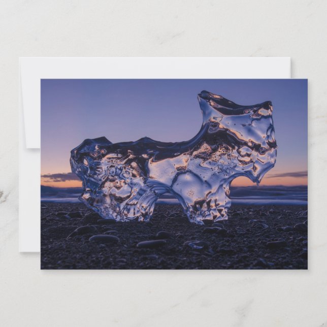 Iceberg Dog Feiertagskarte (Vorderseite)