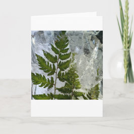 Iced Ferns, Karte