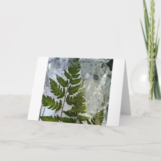 Iced Ferns, Karte (Vorderseite)