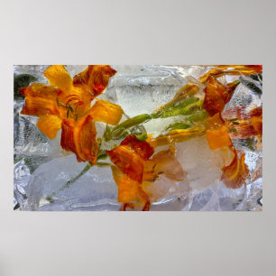 Iced Lilies, Poster