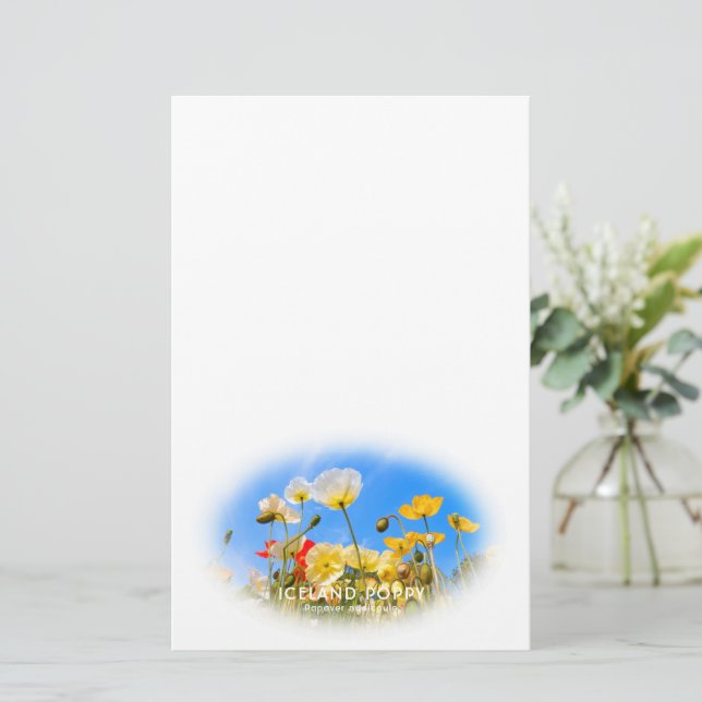 Iceland Poppy Briefpapier (Stehend Vorderseite)