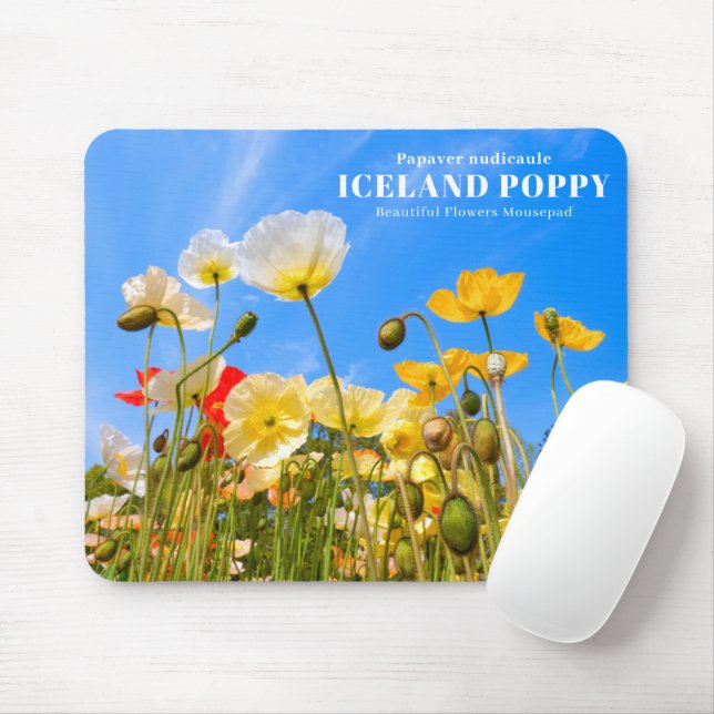 Iceland Poppy Mousepad (Mit Mouse)