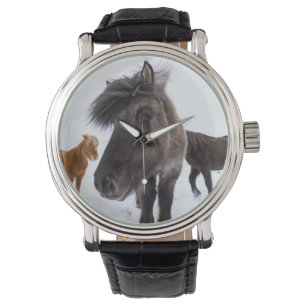 Icelandic Horse portrait Armbanduhr