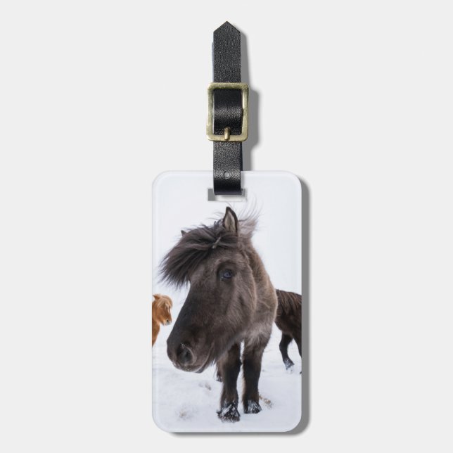 Icelandic Horse portrait Gepäckanhänger (Vorderseite vertikal)