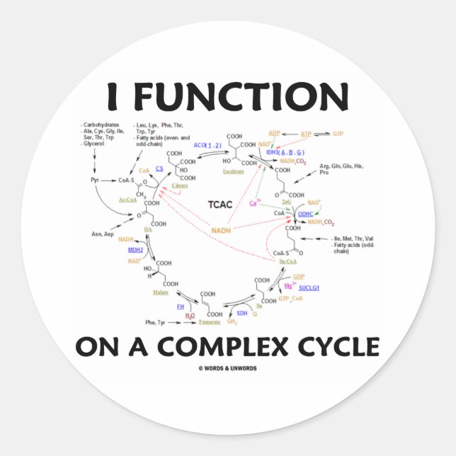 Ich arbeite auf einem komplexen Zyklus (Krebs Cycl Runder Aufkleber (Vorderseite)