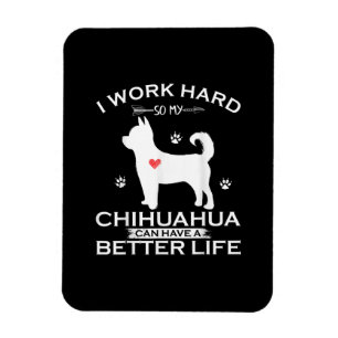 Ich arbeite hart, damit mein Chihuahua-Hund besser Magnet