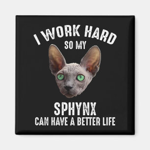 Ich arbeite hart, damit mein Sphynx ein besseres L Magnet