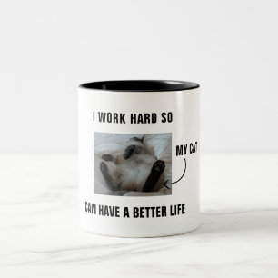 Ich arbeite hart, damit meine Katze ein besseres L Zweifarbige Tasse