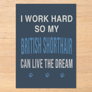 Ich arbeite hart für meine Britisch Kurzhaar Acryleinladungen