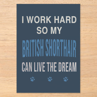 Ich arbeite hart für meine Britisch Kurzhaar Acryleinladungen