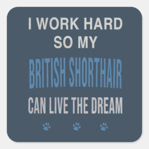 Ich arbeite hart für meine Britisch Kurzhaar Quadratischer Aufkleber