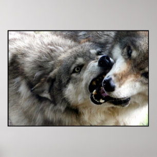 ICH BEISSE POSTER