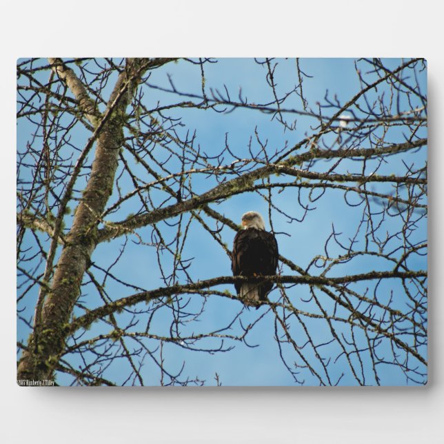 Ich beobachte dich fotoplatte (Vorderseite)