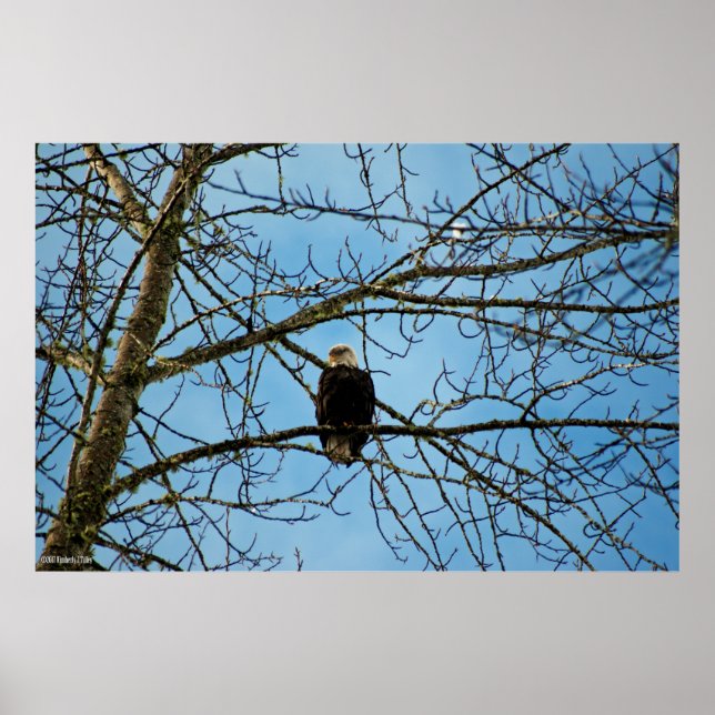 Ich beobachte dich poster (Vorne)