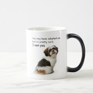 Ich besitze dich Shih Tzu Verwandlungstasse