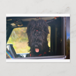 Ich besitze diesen Jeep Postkarte