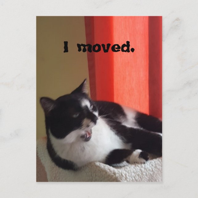 Ich bewegte Niedliche Tuxedo Cat Talk Foto Postkar Postkarte (Vorderseite)