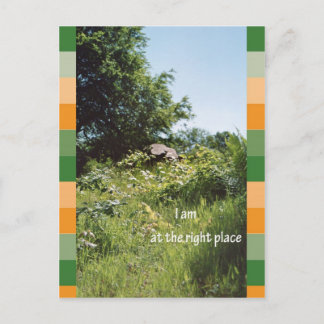 Ich bin am richtigen Ort Postkarte