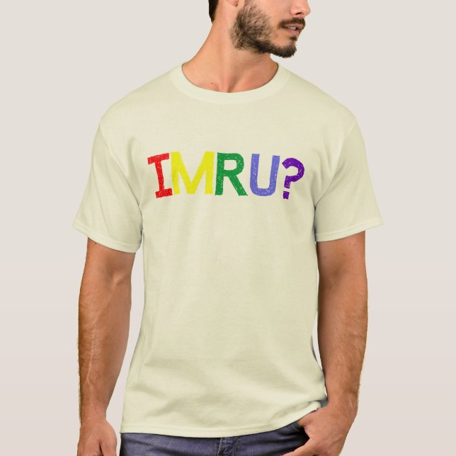 Ich bin bin Sie IMRU Regenbogen-Stolz T-Shirt (Vorderseite)