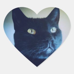 Ich bin Cat Sticker
