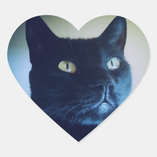 Ich bin Cat Sticker (Vorderseite)