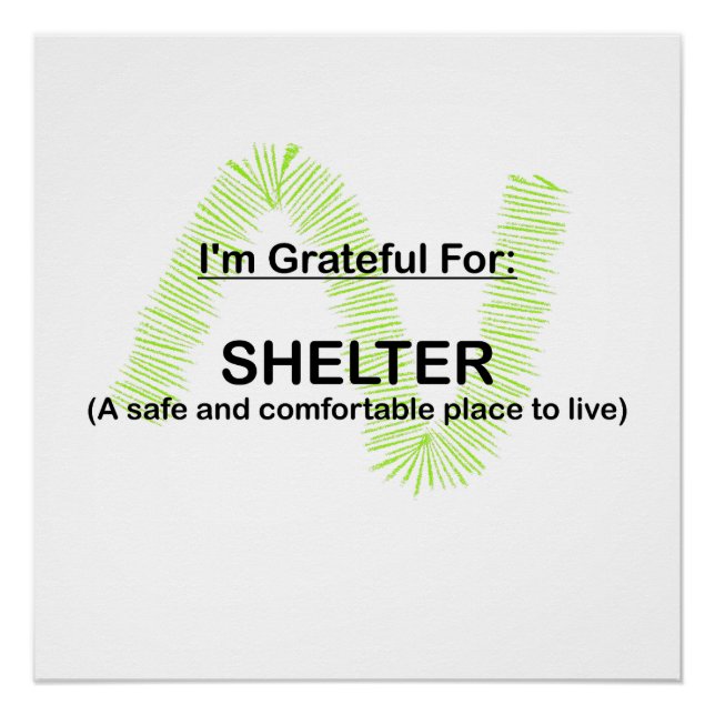 ICH BIN DANK FÜR SHELTER POSTER (Vorderseite)