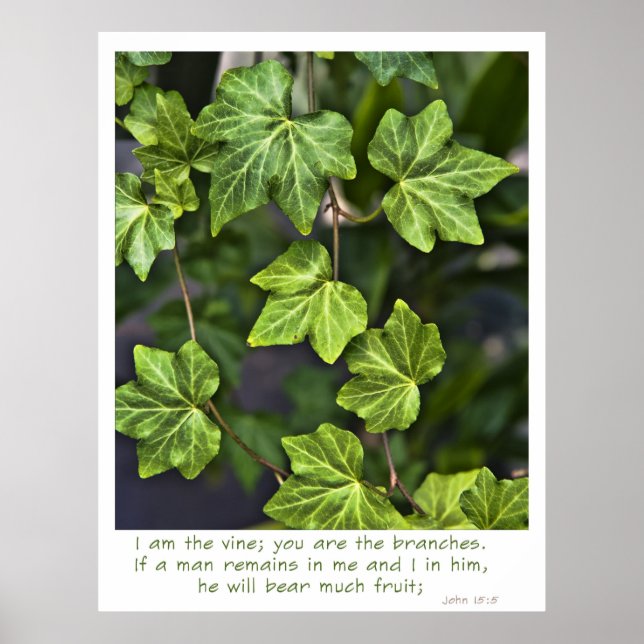 Ich bin das Weinposter John 15:5 Zitat Poster (Vorne)