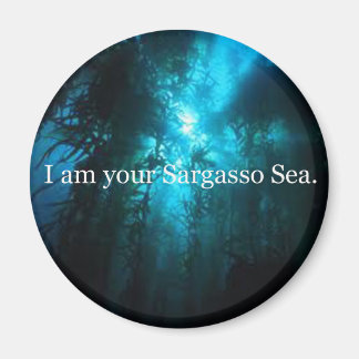 Ich bin dein Sargasso-Meer Magnet