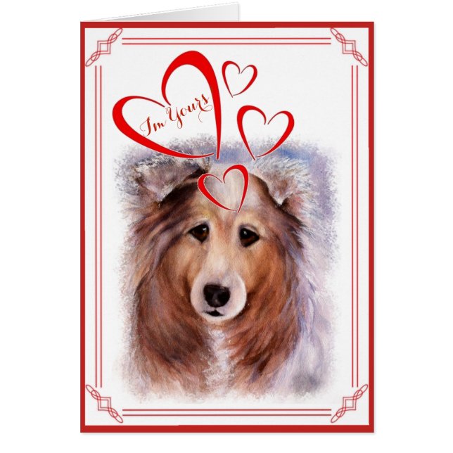 ICH BIN DEIN VALENTINE GORGEOUS COLLIE (Vorne)