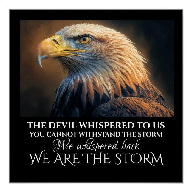 ICH BIN DER STORMPOSTER POSTER (Vorderseite)