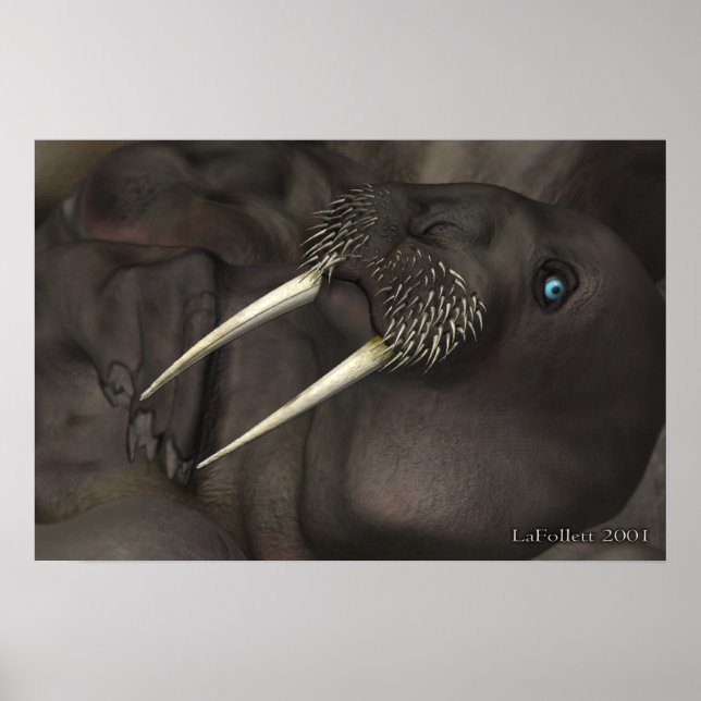 Ich bin der Walrus Poster (Vorne)