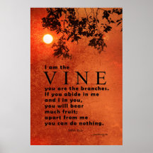 Ich bin der Wein ... (Schrift: John 15:5)