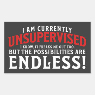 Ich bin derzeit nicht beaufsichtigt rechteckiger aufkleber